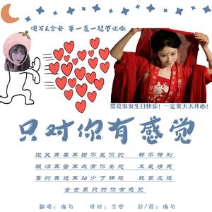 只对你有感觉