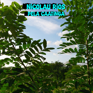 A Dança da Onça Boa