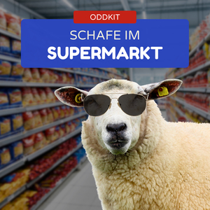 Schafe Im Supermarkt