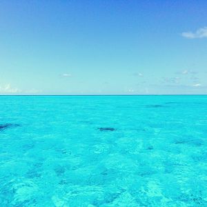 柔和的阿鲁巴岛时刻