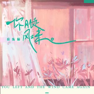 你刚走风又来（DJcy remix）