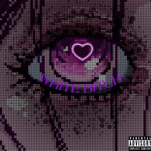 Whit* Bitc* - Speed Plug