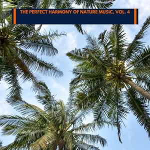 Near The Fire and Woodland