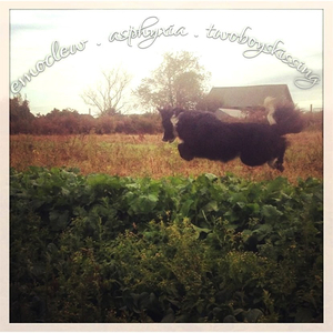 Ibitemytongueuntilitbleeds