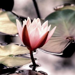 心境 (流水+钢琴曲)