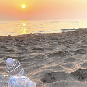 炸街专属（DJ版）