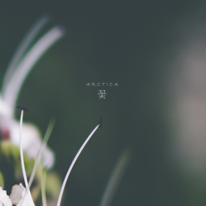 (Bloom) (Original Mix)