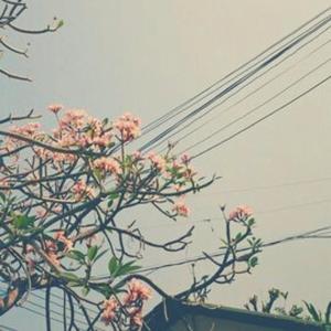 Introspection (feat. Coodysan)