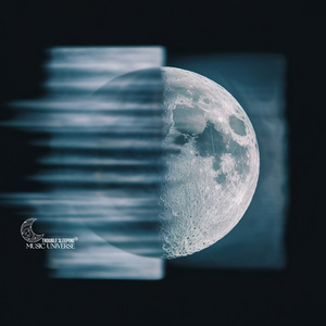 Waves of Subconscious Chronotides