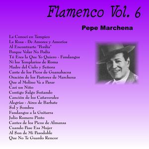 Cantes de los Picos de Almansa