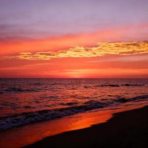 铭记 (Cover 张杰)