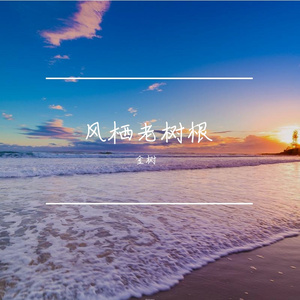 风栖老树根