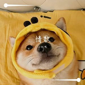 情歌
