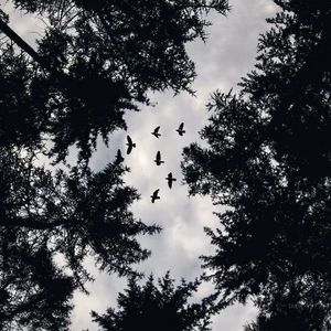 Bye Mugen-૮ ˆﻌˆ ა（钟胤莹 remix）