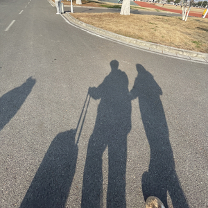 放手是最后的清醒