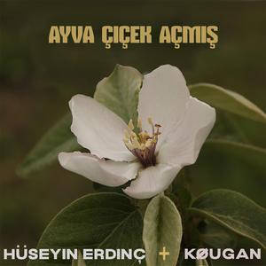 Ayva Çiçek Açmış (feat. Kougan Ray)