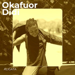 Okafuor Didi (Afrobeats Mix)