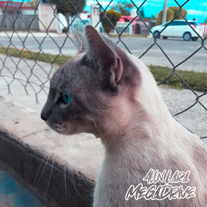 Snowfield (Interlude)