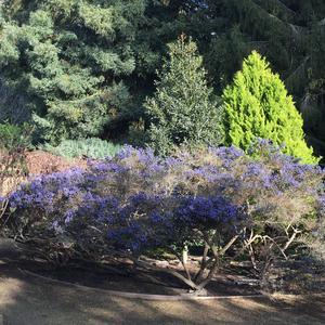 Prelude No. 6 In B Minor