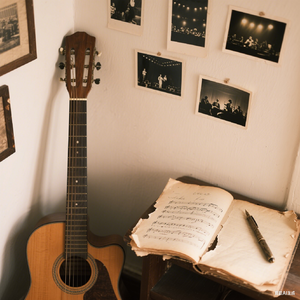 山茶花读不懂白玫瑰