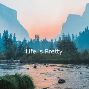 Life Is Pretty
