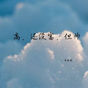 高，还没富，但帅