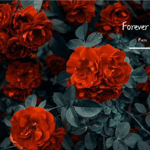 Forever