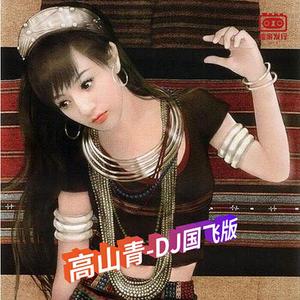 DJ国飞-高山青-DJ国飞版（DJ国飞 remix）