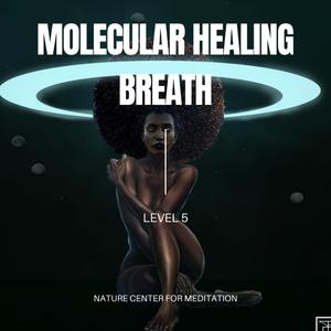 MOLECULAR HEALING BREATHWORK