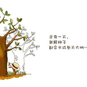 如果芳华是你