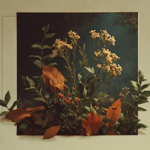 Sonbaharda kaldı sevda