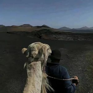 广西进行曲（新疆马蹄打了贝贝）