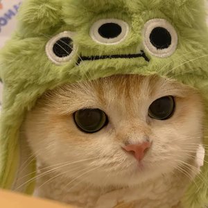 付出多 的那个注定先心碎