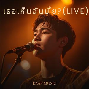 เธอเห็นฉันมั้ย ? (LIVE Version)