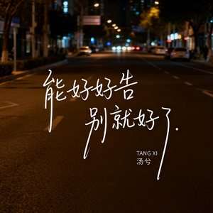 能好好告别就好了（伤感版）