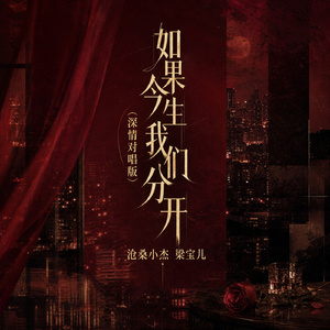 如果今生我们分开(深情对唱版)
