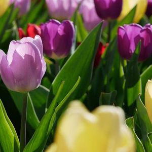 唱响自己的故事 伴奏