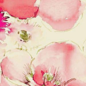 再也不会遇见第二个她