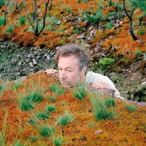 Don't You Look There