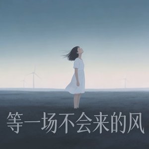 等一场不会来的风