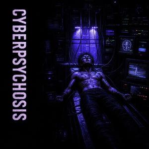 Cyberpsychosis