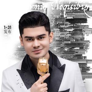 Noqilarnig Noqisi Biz