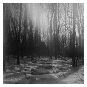 Pinhole