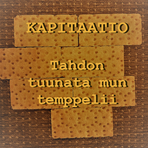 Tahdon tuunata mun temppelii