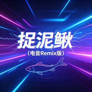捉泥鳅(电音Remix版)