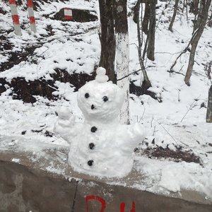 雪花别为我难过