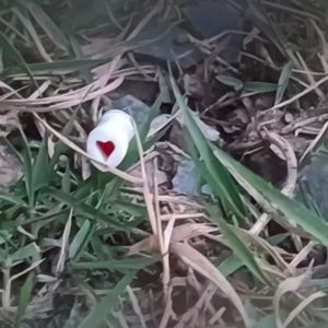 情绪麻痹