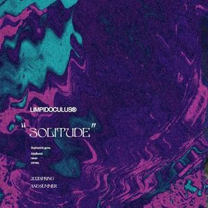 鸳鸯戏（DJ版）