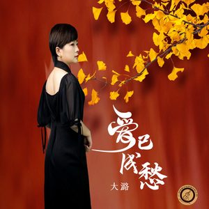 爱已成愁 (DJ版)