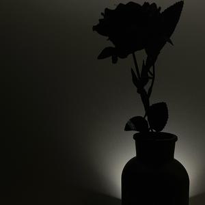 我与我周旋许久宁做我又不做我